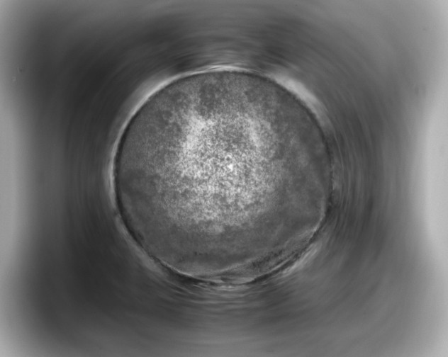X0000098121423200804111106