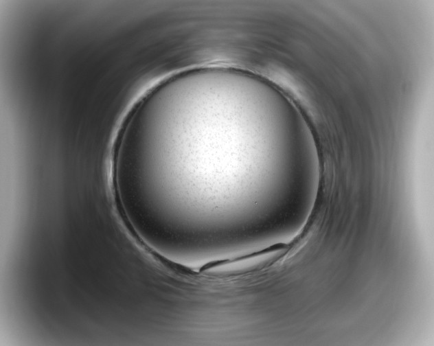 X0000098121424200804111106