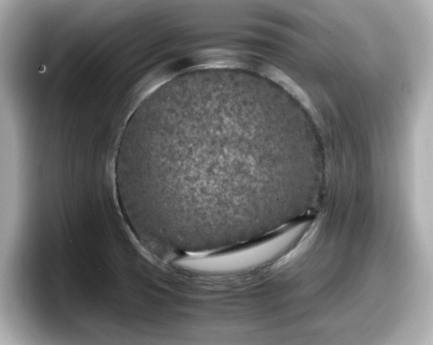 X0000098121425200804111106