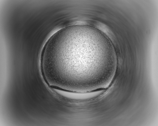 X0000098121426200804111106