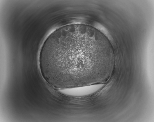 X0000098121427200804111106