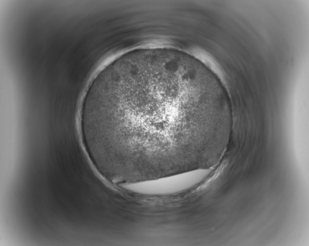 X0000098121429200804111106