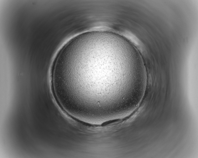 X0000098121430200804111106