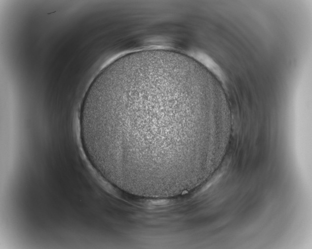 X0000098121431200804111106