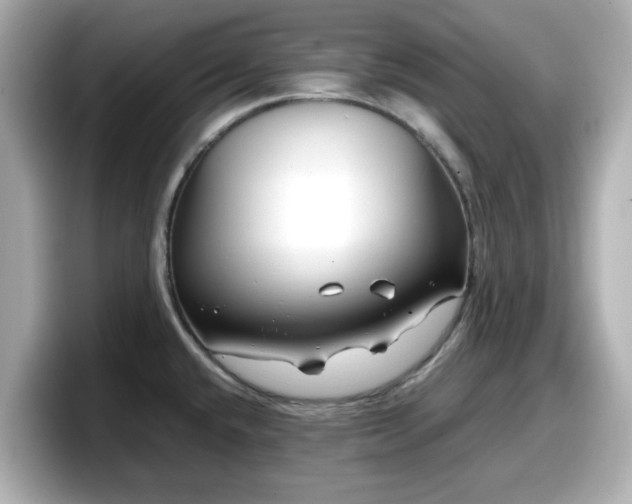 X0000098121432200804111106