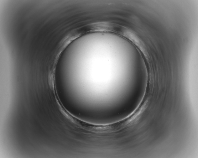 X0000098121433200804111106