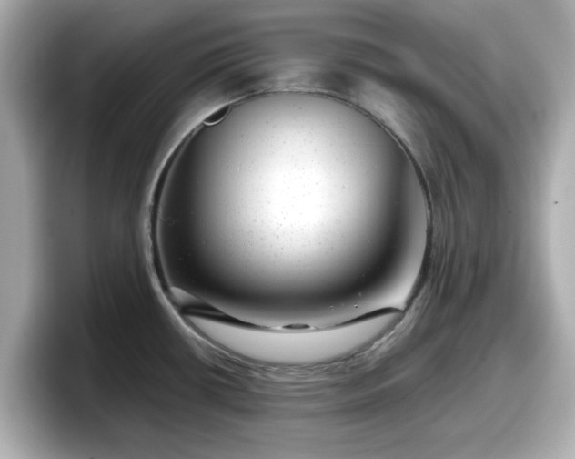 X0000098121434200804111106