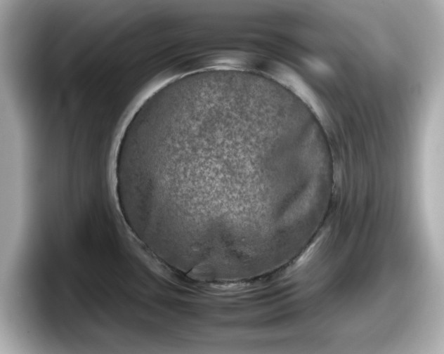 X0000098121435200804111106