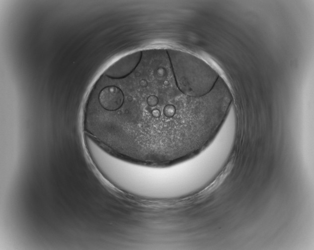 X0000098121438200804111106