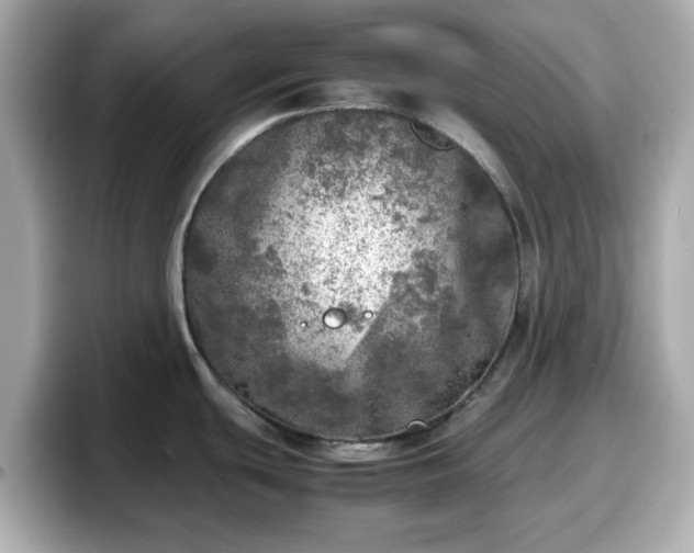X0000098121439200804111106