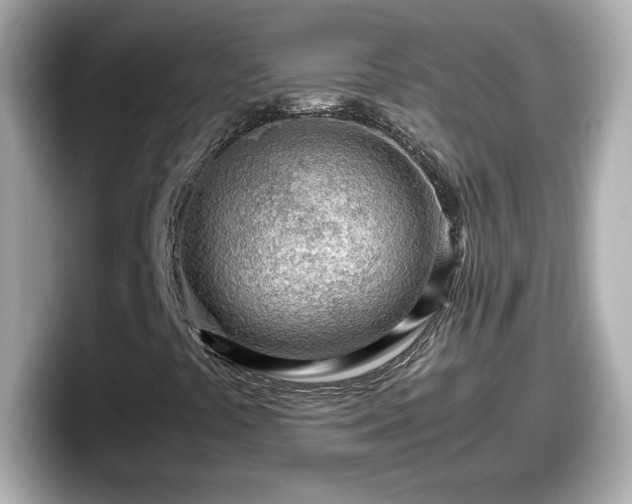 X0000098121441200804111106
