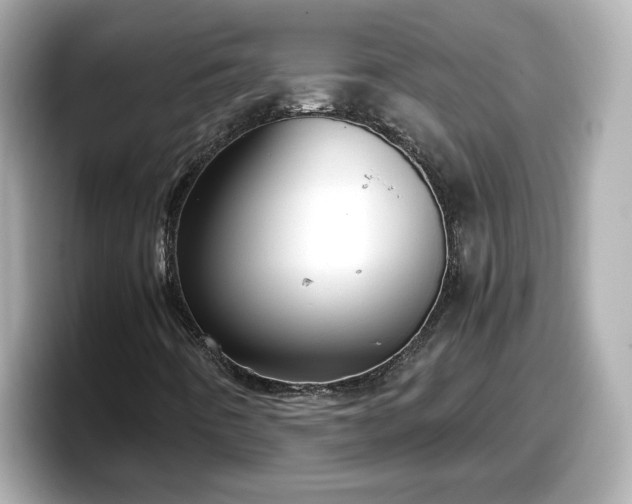 X0000098121442200804111106