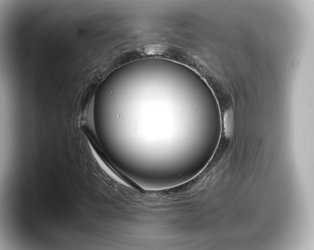 X0000098121443200804111106