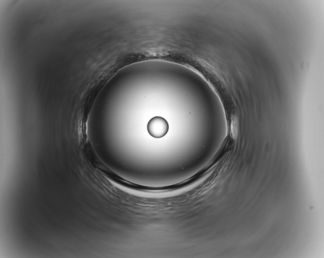X0000098121444200804111106