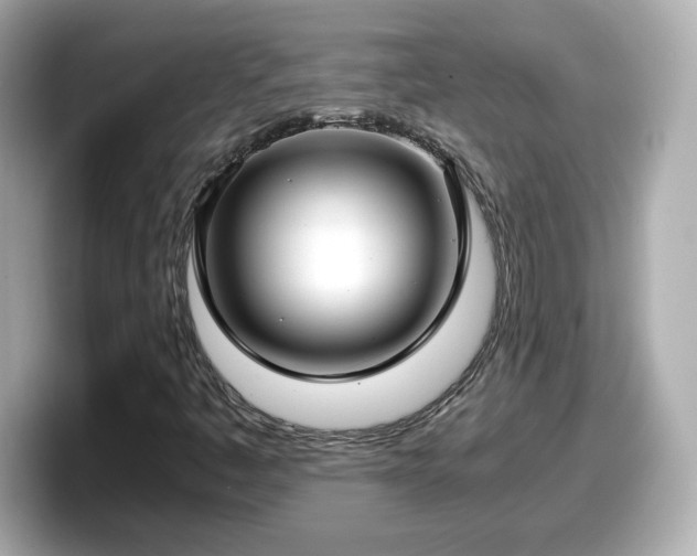 X0000098121445200804111106