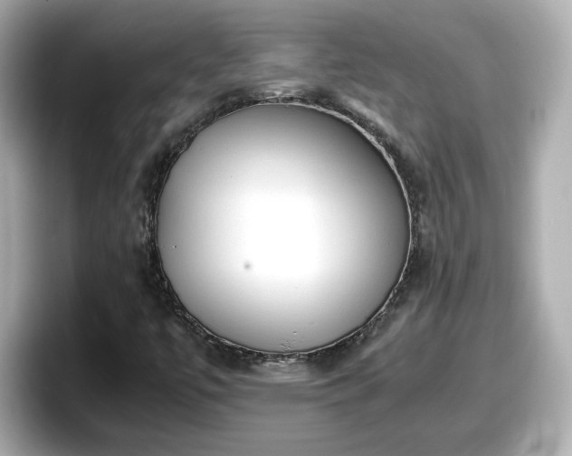 X0000098121447200804111106