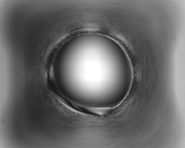 X0000098121448200804111106