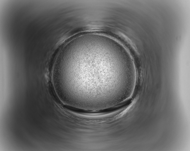 X0000098121449200804111105