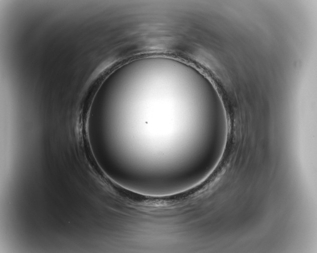 X0000098121450200804111105
