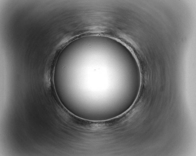X0000098121451200804111105