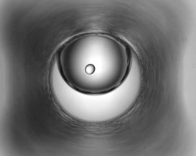 X0000098121452200804111105