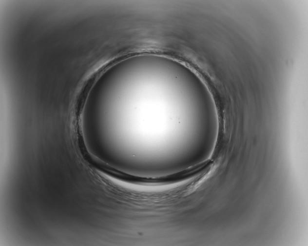 X0000098121453200804111105