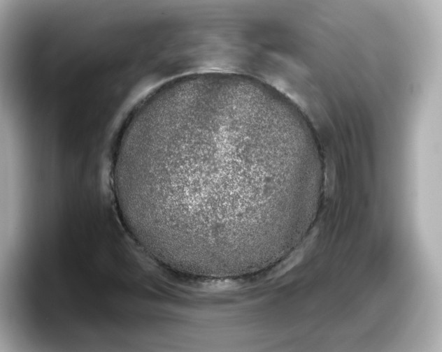 X0000098121454200804111105