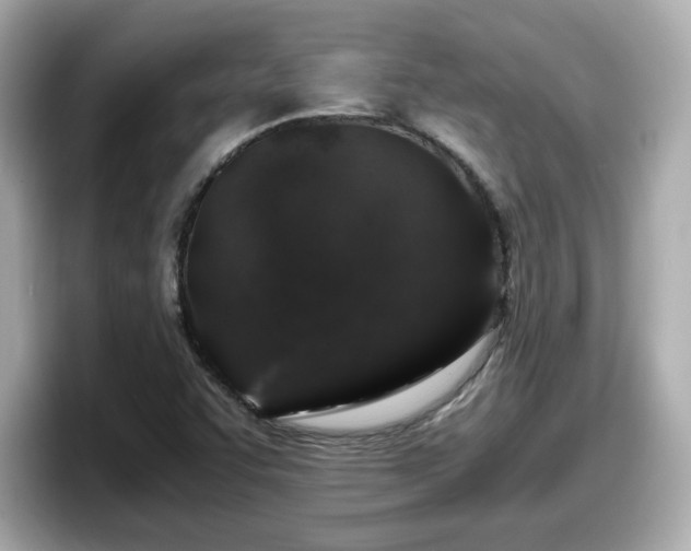 X0000098121455200804111105
