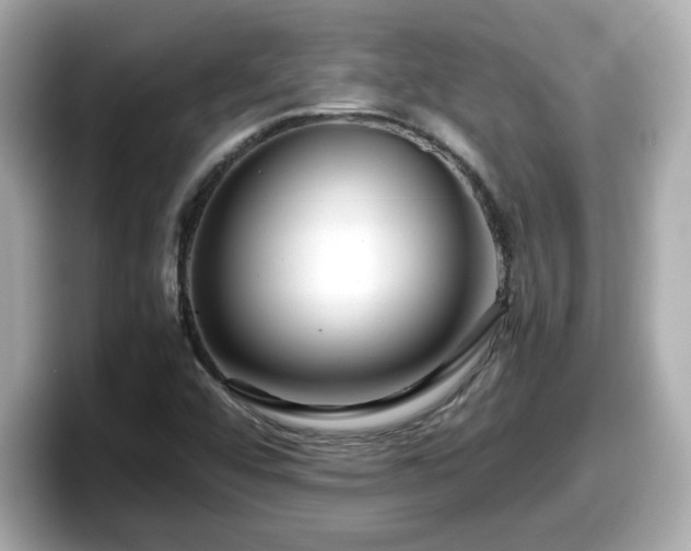 X0000098121456200804111105