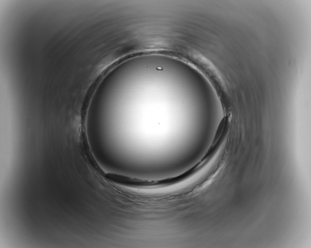X0000098121457200804111105
