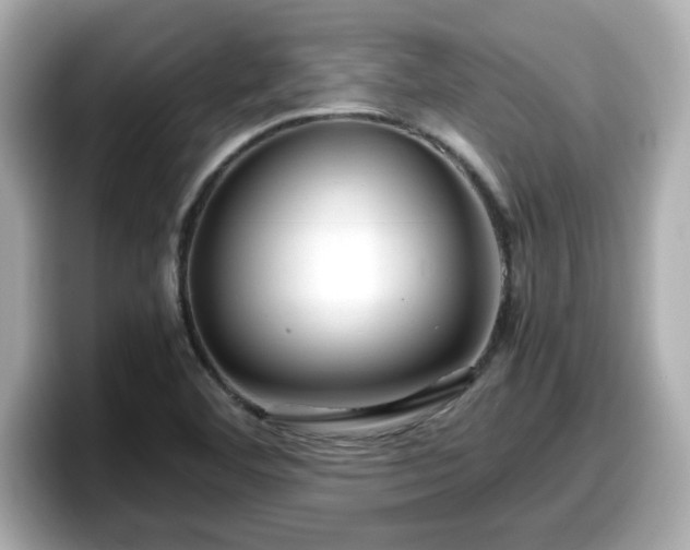X0000098121460200804111105