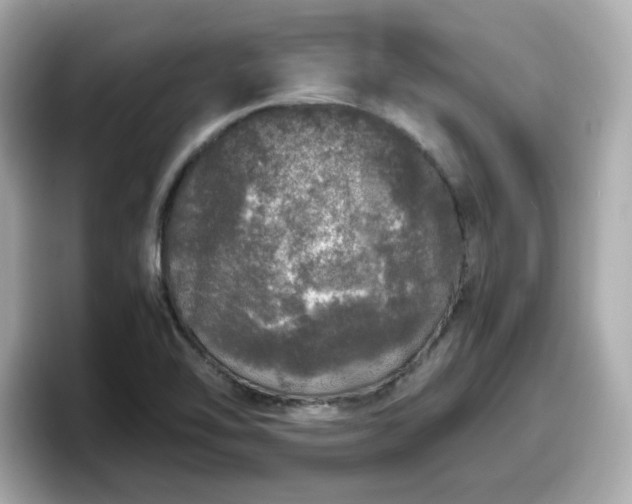 X0000098121462200804111105