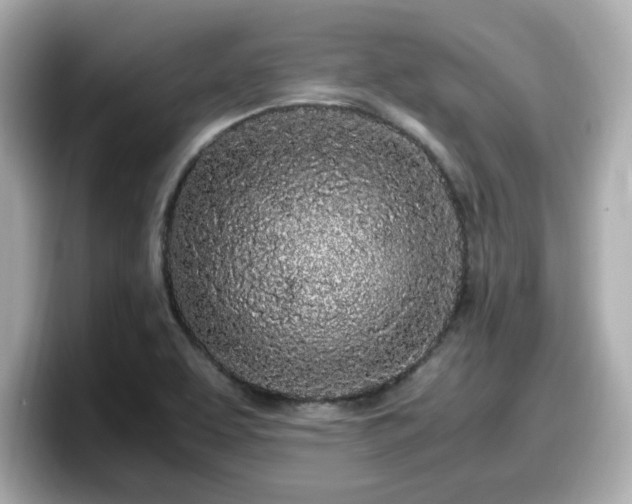 X0000098121463200804111105