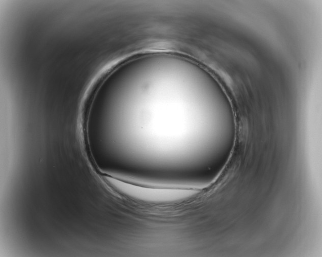 X0000098121464200804111105