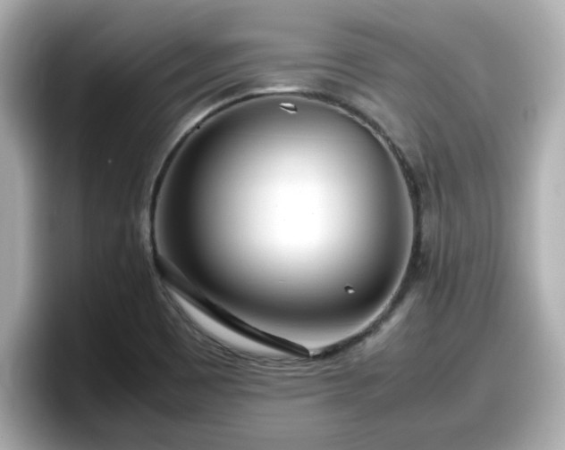 X0000098121465200804111105
