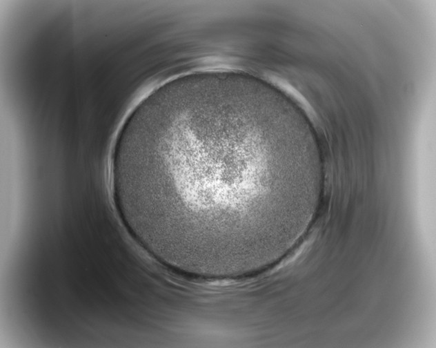 X0000098121467200804111105
