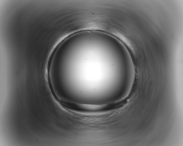 X0000098121468200804111105