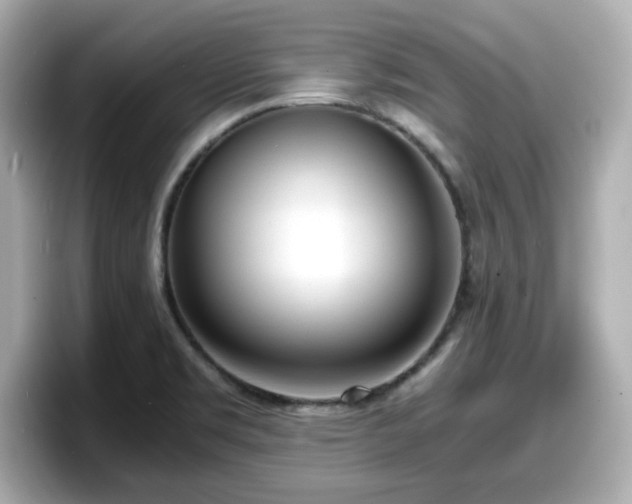 X0000098121469200804111105