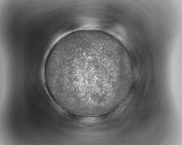 X0000098121470200804111105