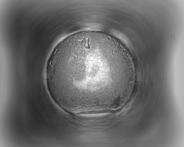 X0000098121471200804111105
