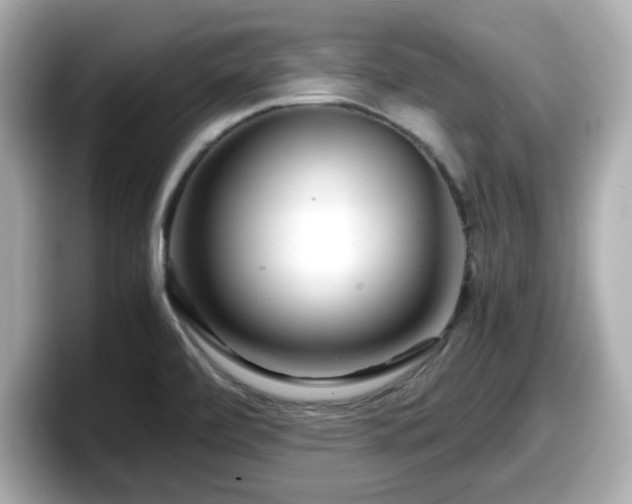 X0000098121472200804111105