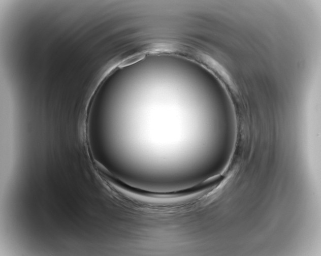 X0000098121473200804111105