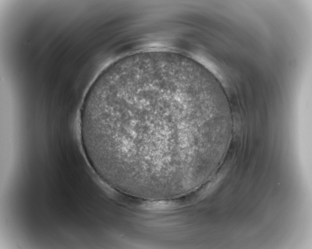X0000098121474200804111105