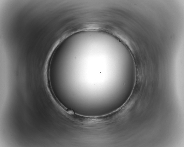 X0000098121475200804111105