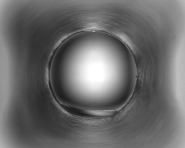 X0000098121476200804111105