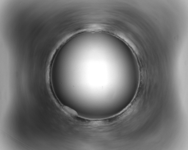 X0000098121477200804111105