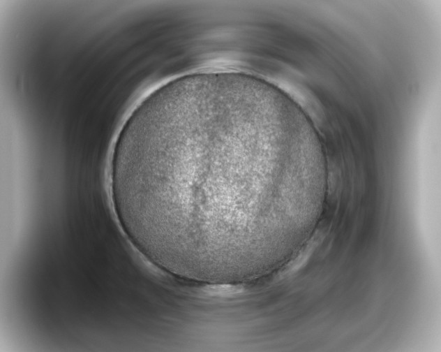 X0000098121478200804111105