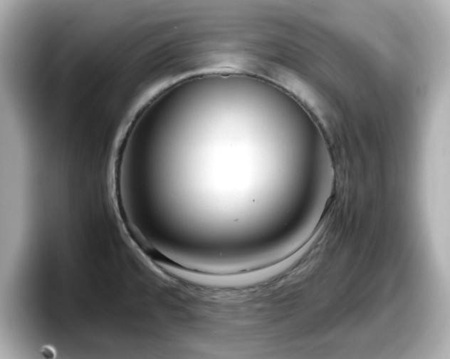 X0000098121480200804111105