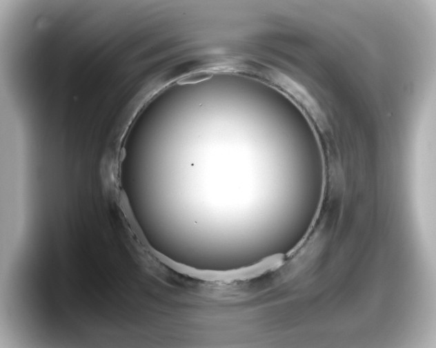 X0000098121481200804111105