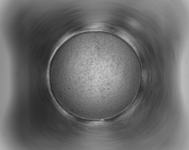 X0000098121482200804111105